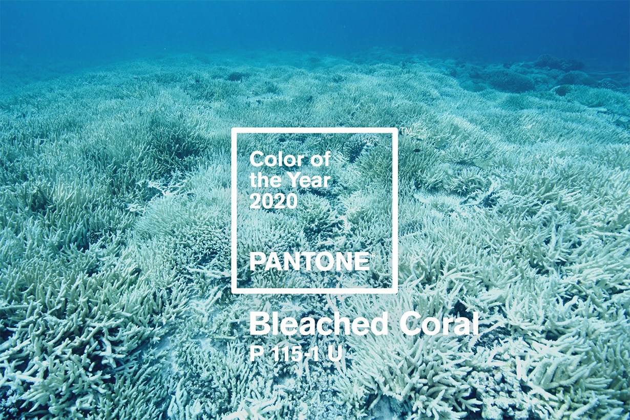 Pantone色彩研究所總結(jié)了2020年的色彩趨勢